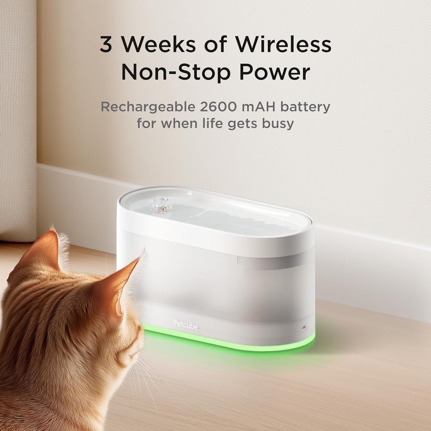 Pet Water Fountain | Automatic Wireless Water Fountain for Cats and Dogs with Ceramic Bowl, Easy to Clean, 4-Layer Filtration, In-App Filter Control, LED Light, Quiet Pump, Battery Operated
