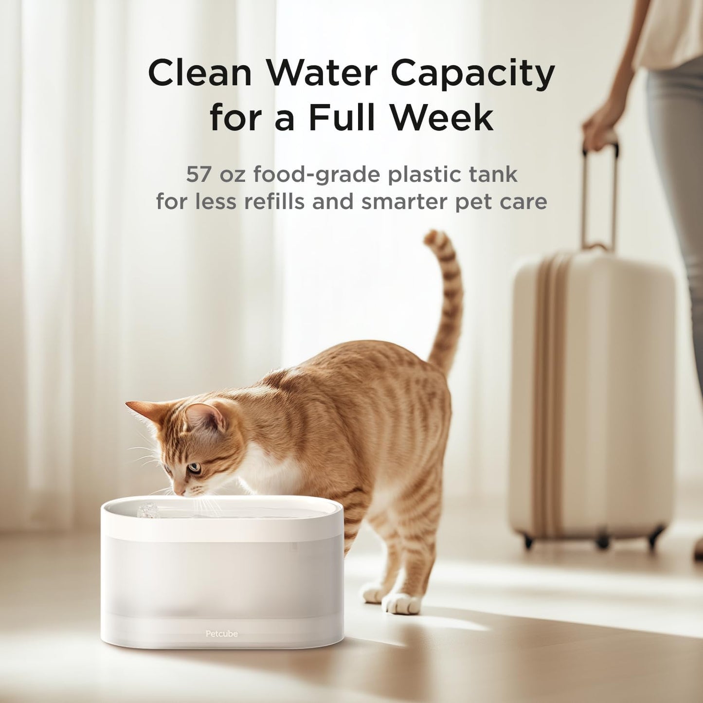 Pet Water Fountain | Automatic Wireless Water Fountain for Cats and Dogs with Ceramic Bowl, Easy to Clean, 4-Layer Filtration, In-App Filter Control, LED Light, Quiet Pump, Battery Operated