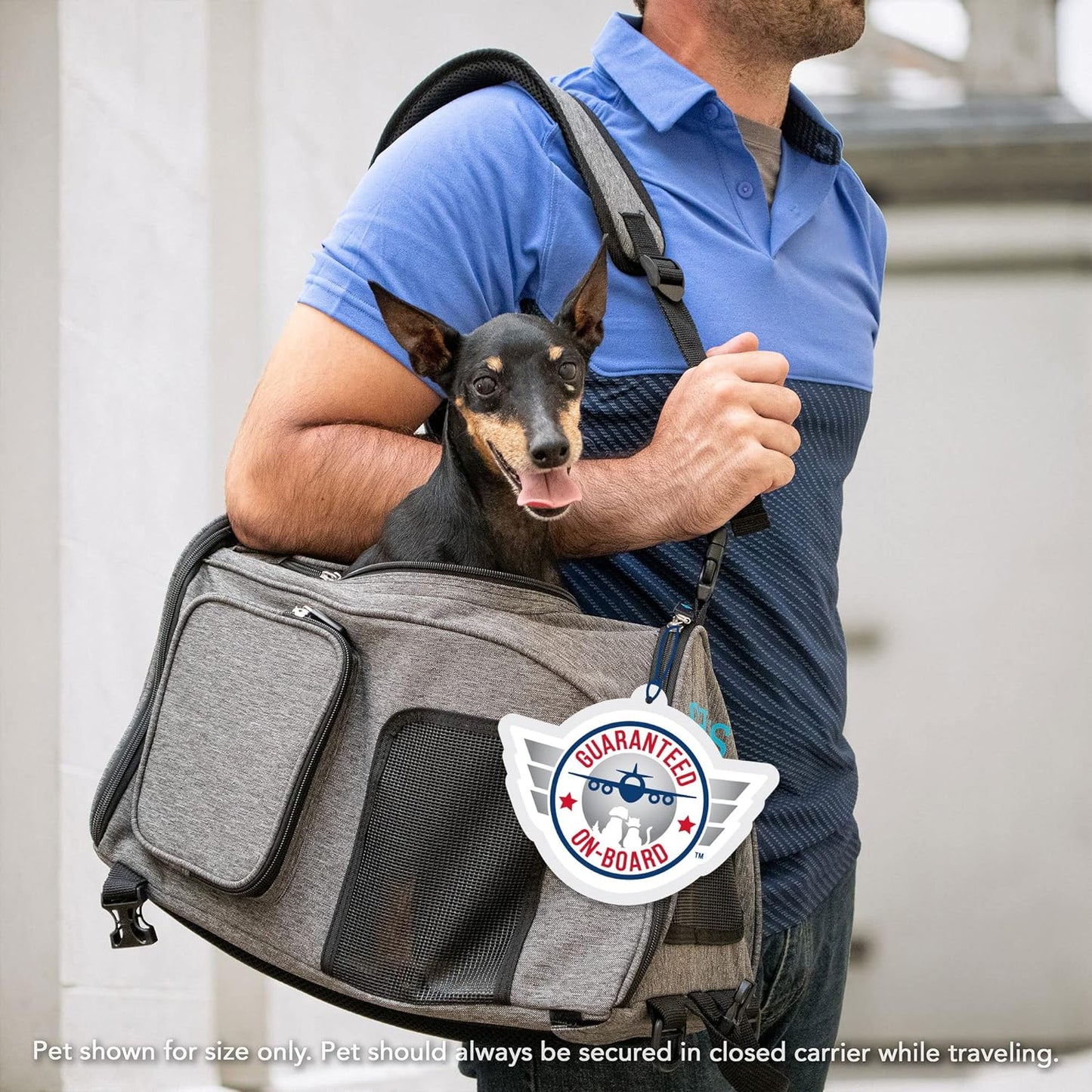 2-In-1 Backpack Travel Pet Carrier, Airline Approved & Guaranteed on Board - Gray, Medium