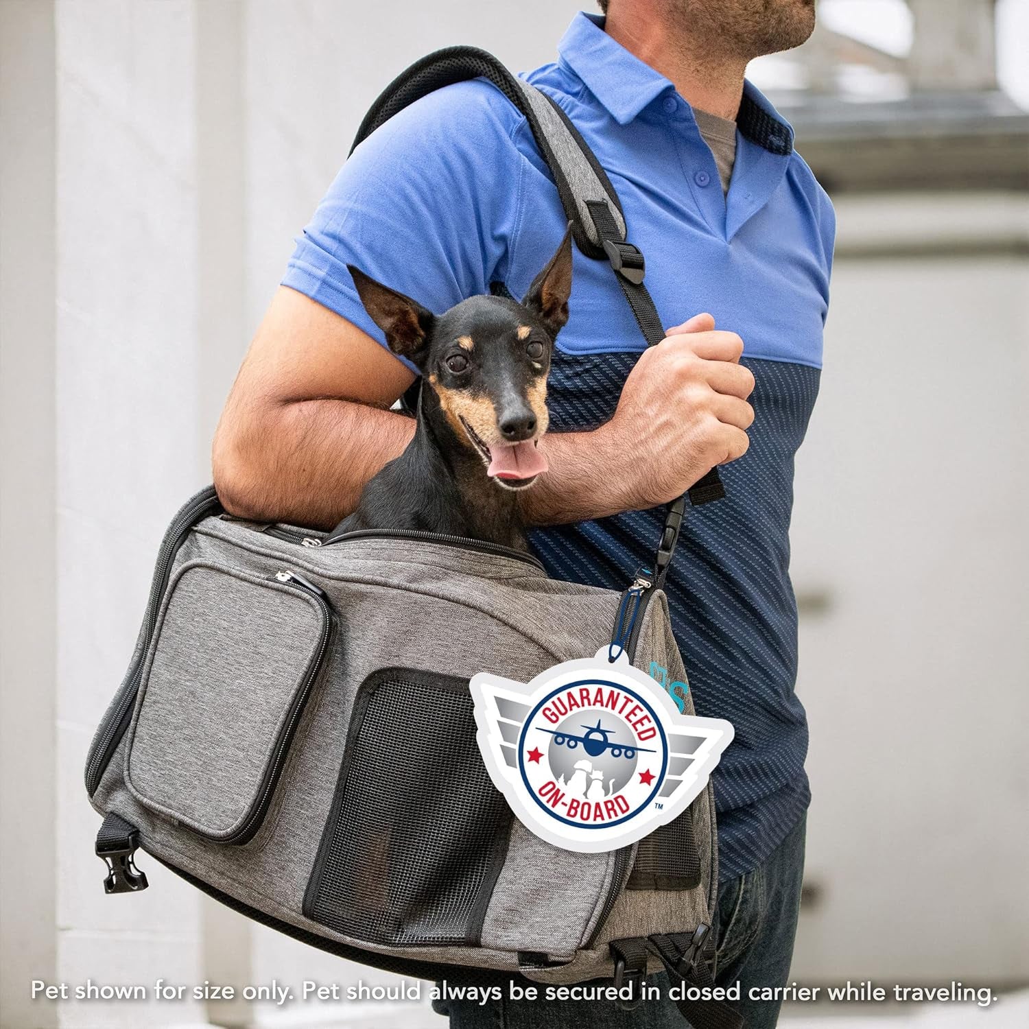 2-In-1 Backpack Travel Pet Carrier, Airline Approved & Guaranteed on Board - Gray, Medium
