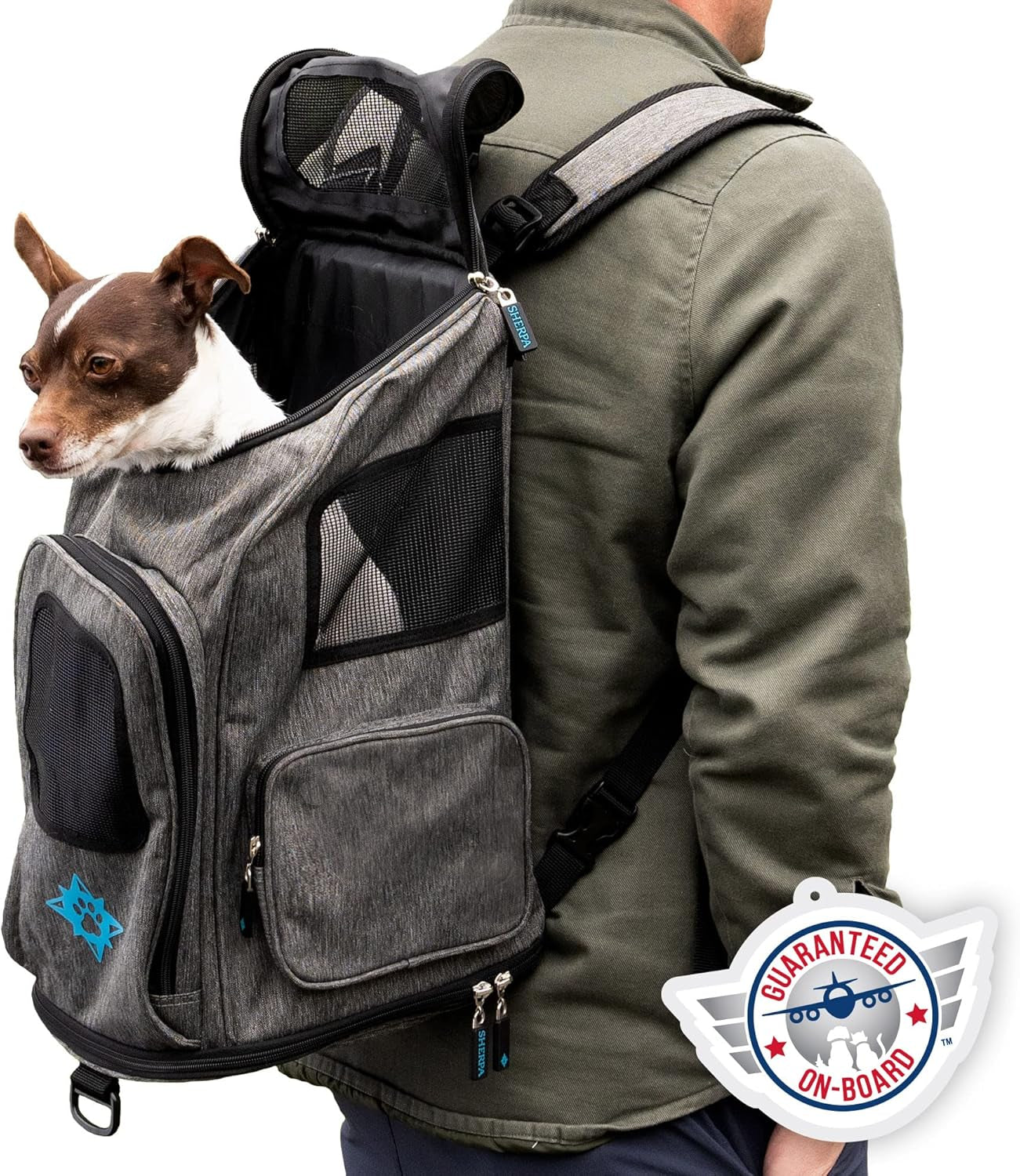 2-In-1 Backpack Travel Pet Carrier, Airline Approved & Guaranteed on Board - Gray, Medium