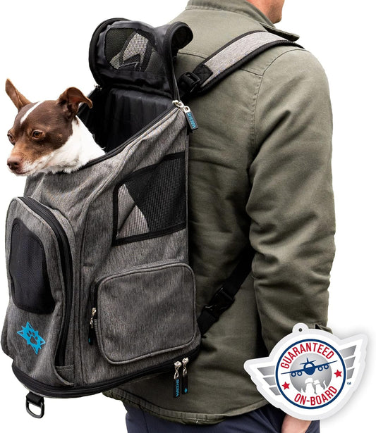 2-In-1 Backpack Travel Pet Carrier, Airline Approved & Guaranteed on Board - Gray, Medium