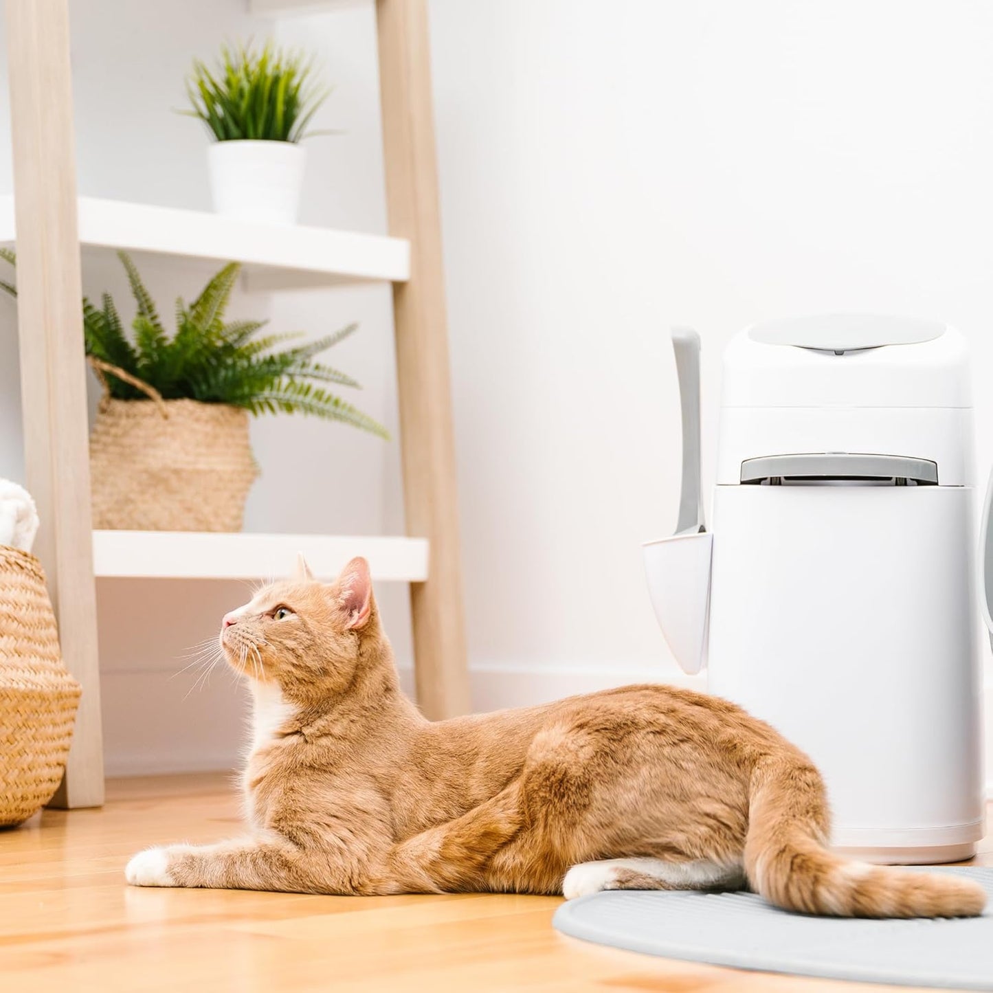 Style Pailcat Litter Box Waste Disposal System for Odor Control Includes 1 Square Refill Bag