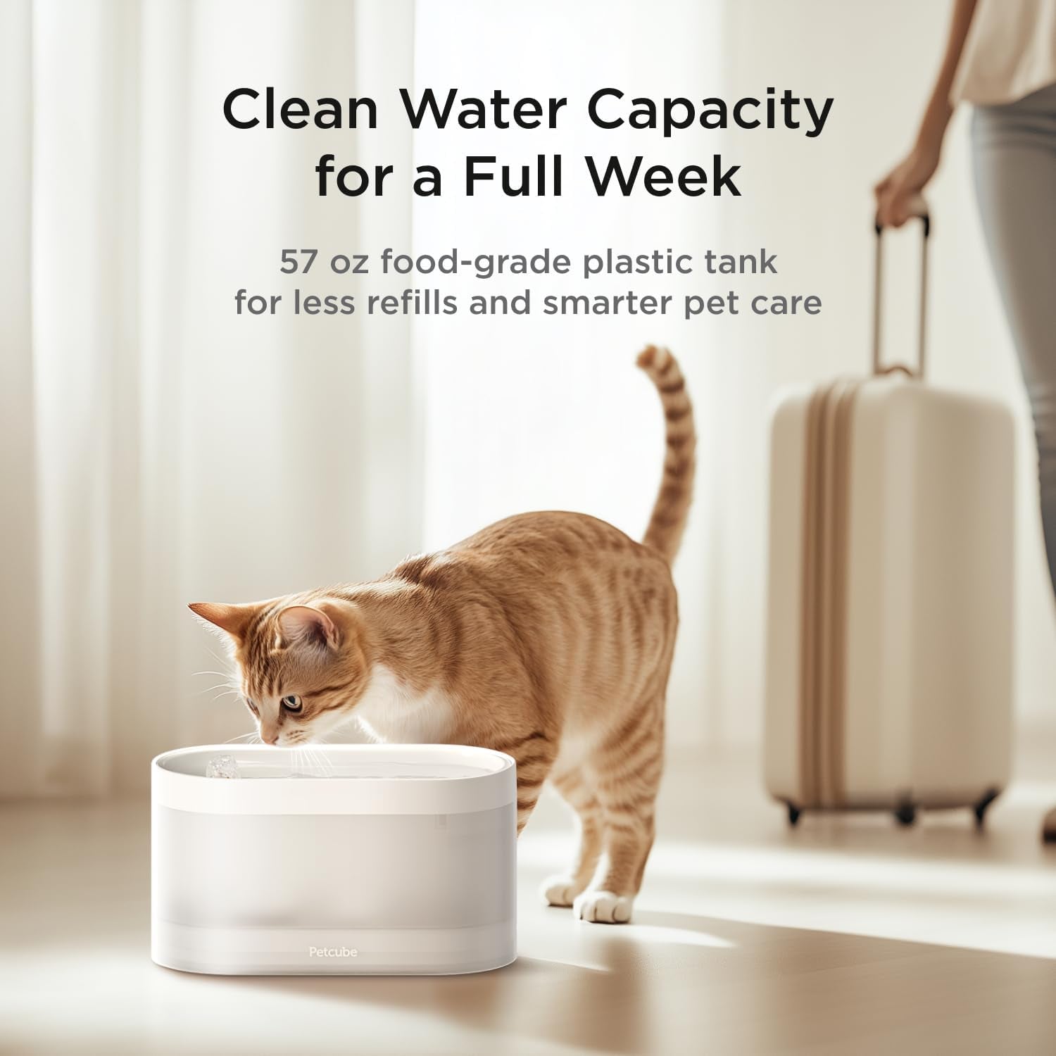 Pet Water Fountain | Automatic Wireless Water Fountain for Cats and Dogs with Ceramic Bowl, Easy to Clean, 4-Layer Filtration, In-App Filter Control, LED Light, Quiet Pump, Battery Operated