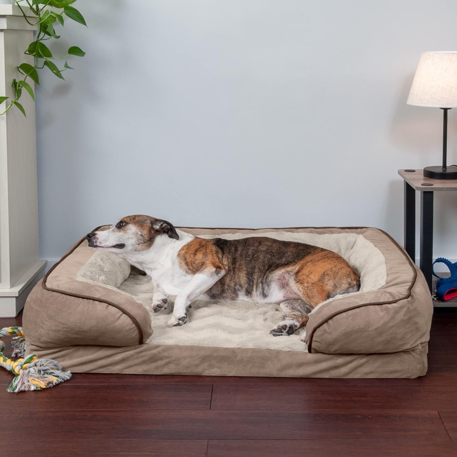 Orthopedic Dog Bed for Large/Medium Dogs W/ Removable Bolsters & Washable Cover, for Dogs up to 55 Lbs - Plush & Velvet Waves Perfect Comfort Sofa - Brownstone, Large
