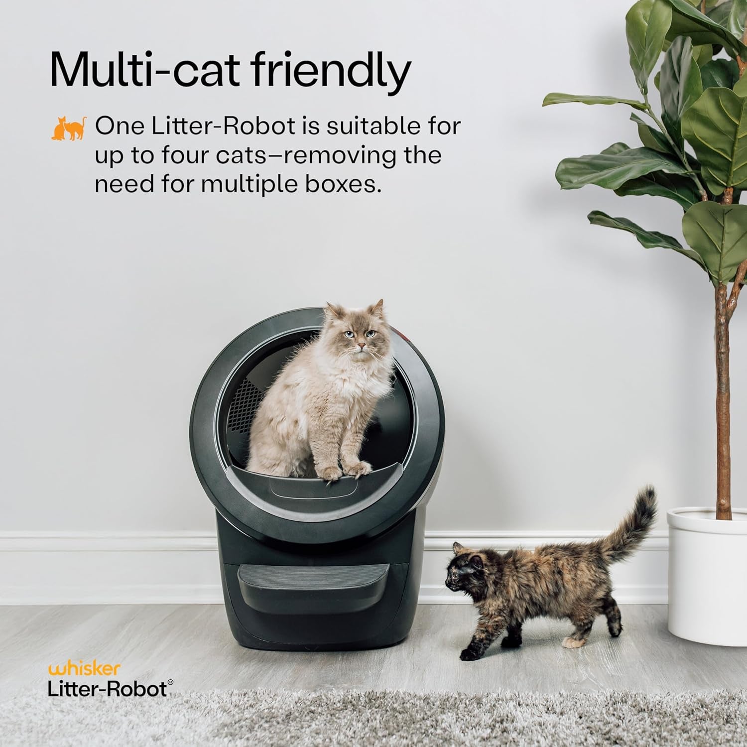 Litter-Robot 4 Supply & Accessory Bundle by , Black- Automatic Self-Cleaning Cat Litter Box, Includes Litter-Robot 4, Ramp, Mat, 3 Odortrap Packs, 10 Liners, 30 Wipes, & 2 Carbon Filters