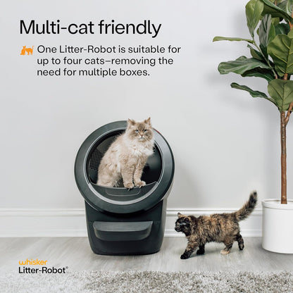 Litter-Robot 4 Supply & Accessory Bundle by , Black- Automatic Self-Cleaning Cat Litter Box, Includes Litter-Robot 4, Ramp, Mat, 3 Odortrap Packs, 10 Liners, 30 Wipes, & 2 Carbon Filters